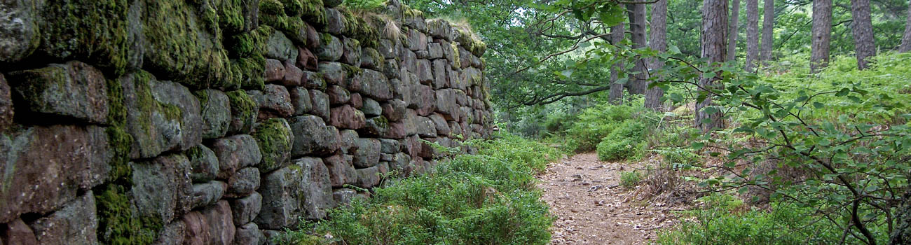 Die Heidenmauer am Odilienberg