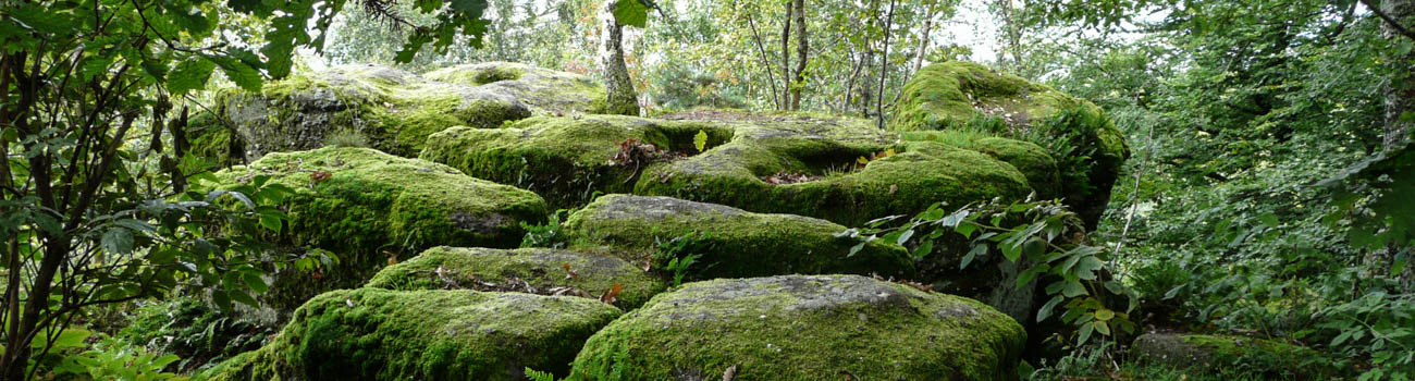 Steinschalen am Feenplateau auf dem Odilienberg